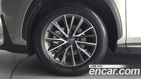 Lexus NX 2023