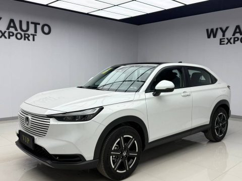 Honda Binzhi 2023