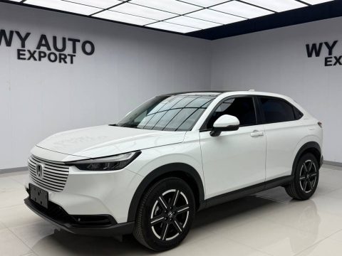Honda Binzhi 2023