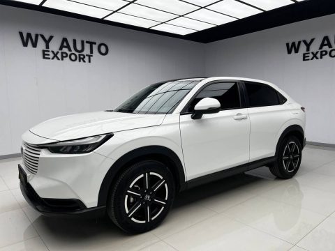 Honda Binzhi 2023